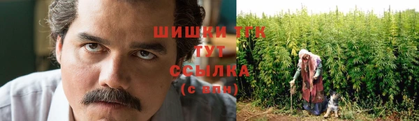 гашик Арсеньев
