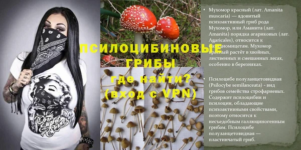 шишки Армянск