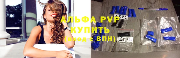 гашик Арсеньев
