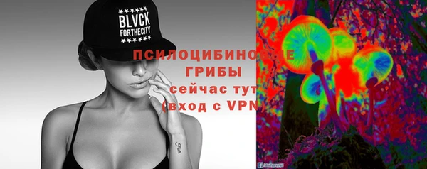 гашик Арсеньев
