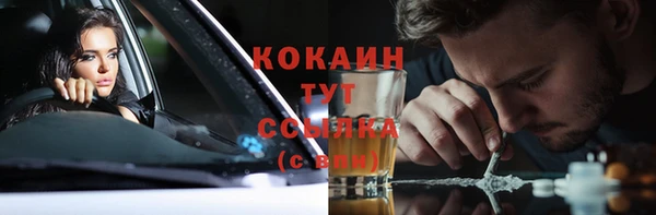 шишки Армянск