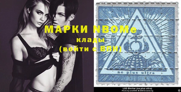 шишки Армянск