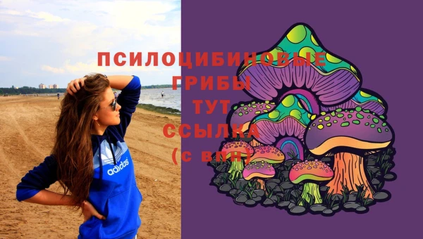 гашик Арсеньев