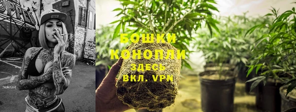 шишки Армянск