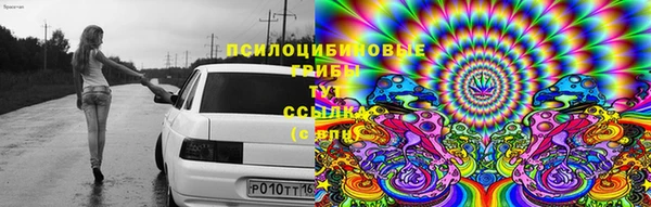гашик Арсеньев