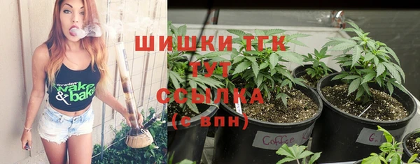 шишки Армянск