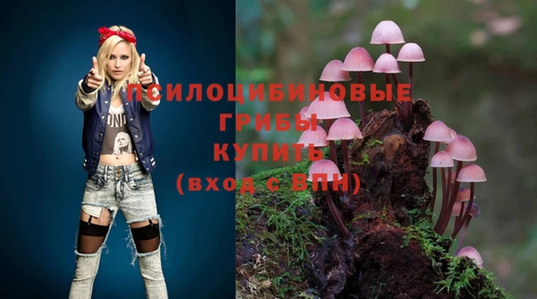 гашик Арсеньев