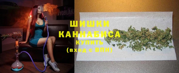 гашик Арсеньев