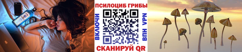 Псилоцибиновые грибы ЛСД  Кашин 